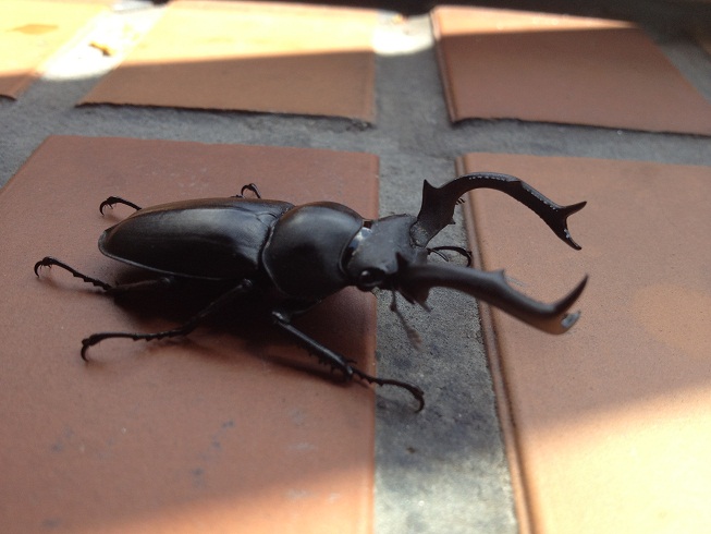 «ö¦¹¦b·sµøµ¡ÂsÄý¹Ï¤ù