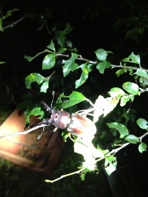 «ö¦¹¦b·sµøµ¡ÂsÄý¹Ï¤ù