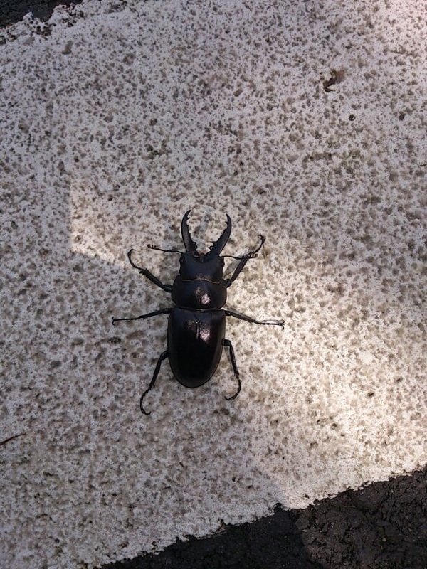 «ö¦¹¦b·sµøµ¡ÂsÄý¹Ï¤ù