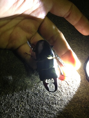 «ö¦¹¦b·sµøµ¡ÂsÄý¹Ï¤ù