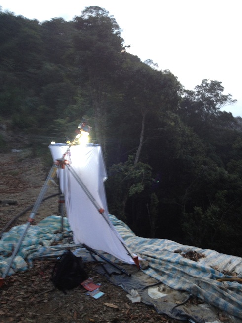 «ö¦¹¦b·sµøµ¡ÂsÄý¹Ï¤ù