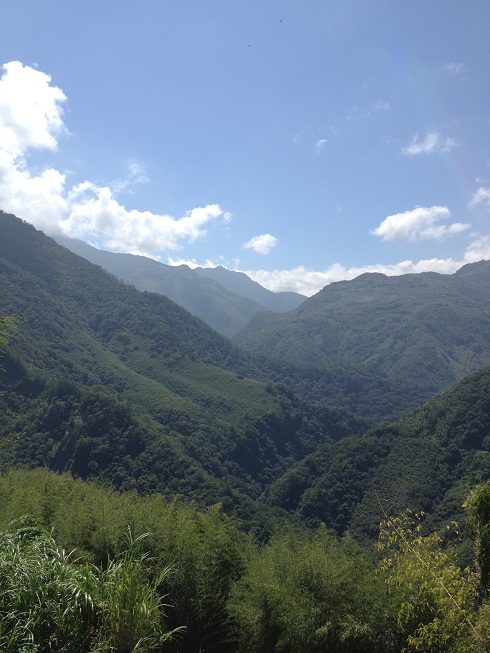 «ö¦¹¦b·sµøµ¡ÂsÄý¹Ï¤ù