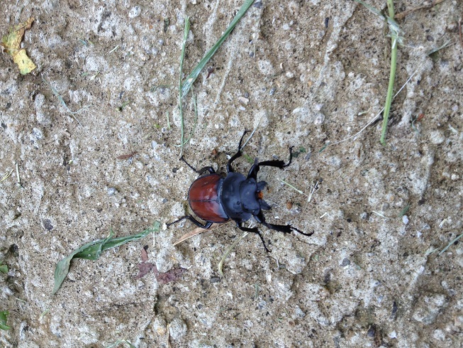 «ö¦¹¦b·sµøµ¡ÂsÄý¹Ï¤ù