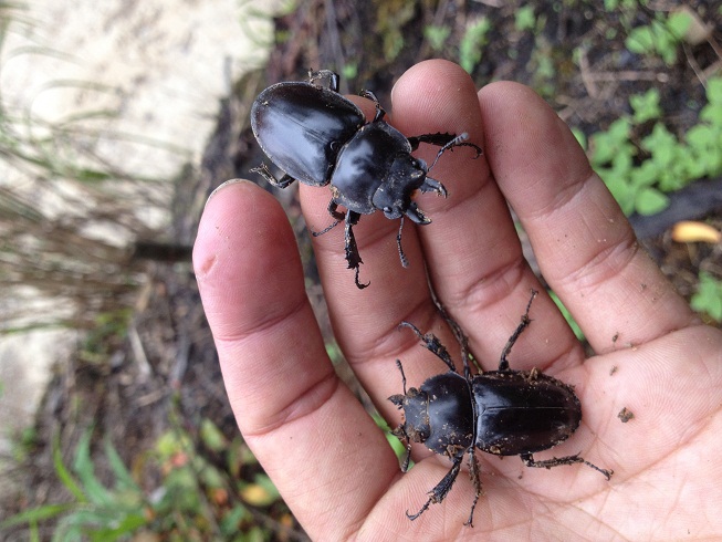 «ö¦¹¦b·sµøµ¡ÂsÄý¹Ï¤ù