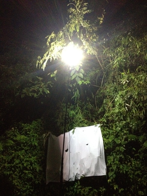 «ö¦¹¦b·sµøµ¡ÂsÄý¹Ï¤ù