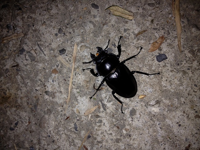 «ö¦¹¦b·sµøµ¡ÂsÄý¹Ï¤ù