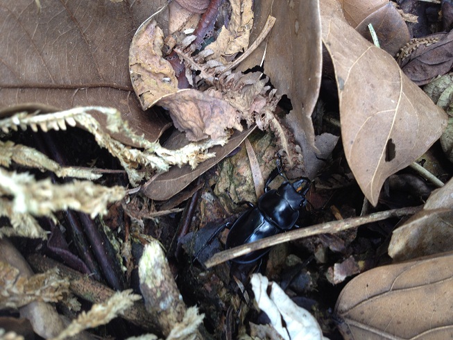 «ö¦¹¦b·sµøµ¡ÂsÄý¹Ï¤ù