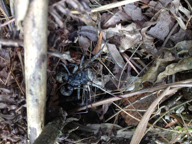 «ö¦¹¦b·sµøµ¡ÂsÄý¹Ï¤ù