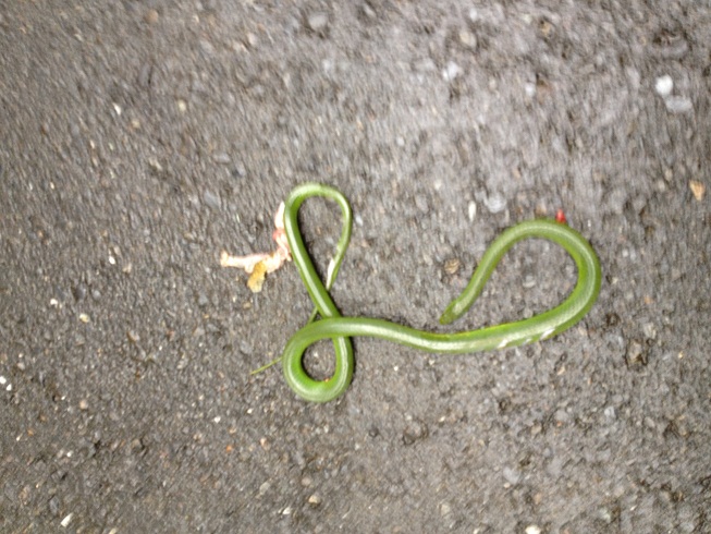 «ö¦¹¦b·sµøµ¡ÂsÄý¹Ï¤ù