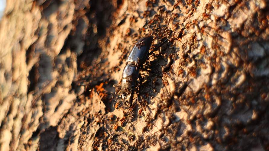 «ö¦¹¦b·sµøµ¡ÂsÄý¹Ï¤ù