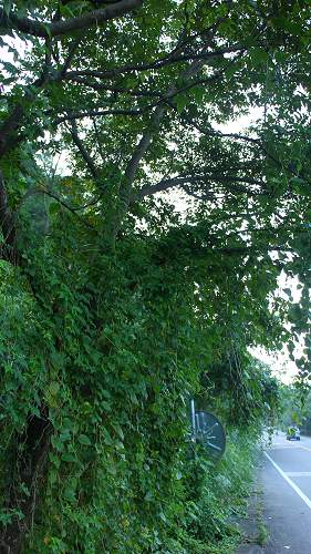 «ö¦¹¦b·sµøµ¡ÂsÄý¹Ï¤ù