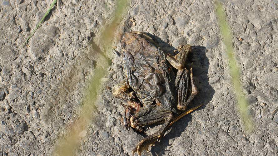 «ö¦¹¦b·sµøµ¡ÂsÄý¹Ï¤ù