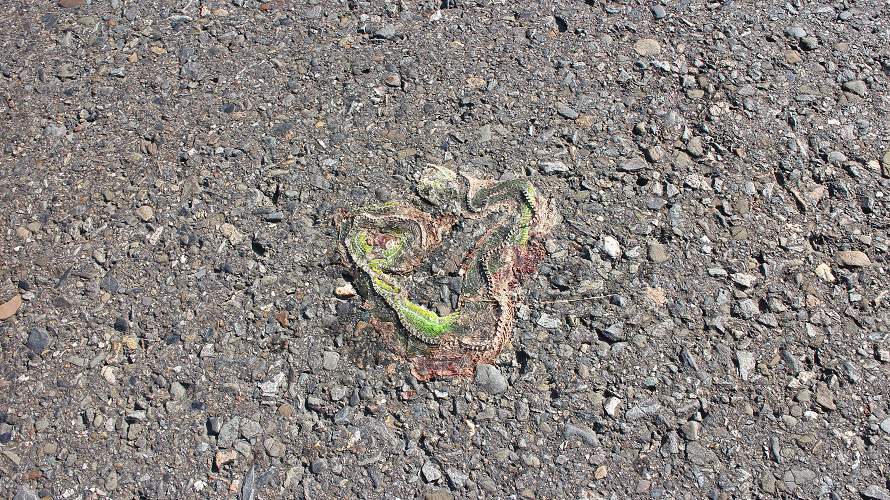 «ö¦¹¦b·sµøµ¡ÂsÄý¹Ï¤ù