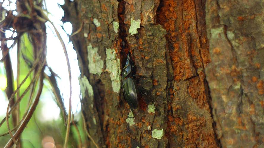 «ö¦¹¦b·sµøµ¡ÂsÄý¹Ï¤ù