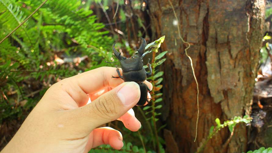 «ö¦¹¦b·sµøµ¡ÂsÄý¹Ï¤ù