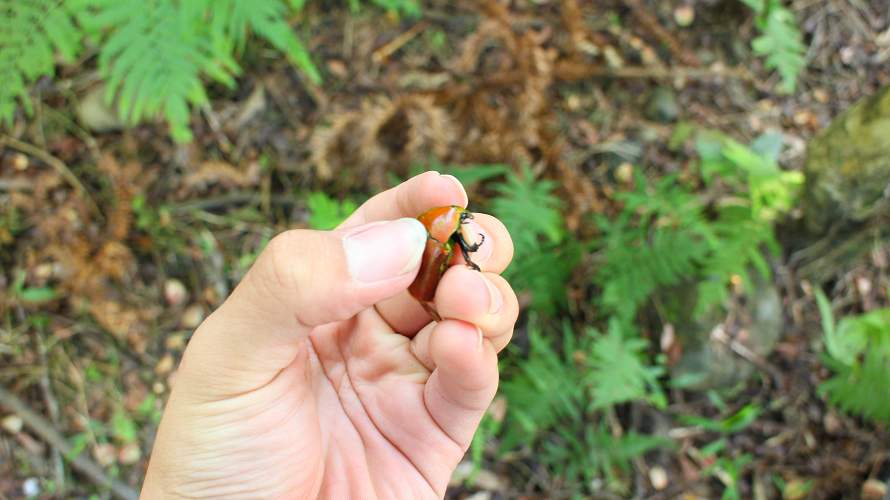 «ö¦¹¦b·sµøµ¡ÂsÄý¹Ï¤ù