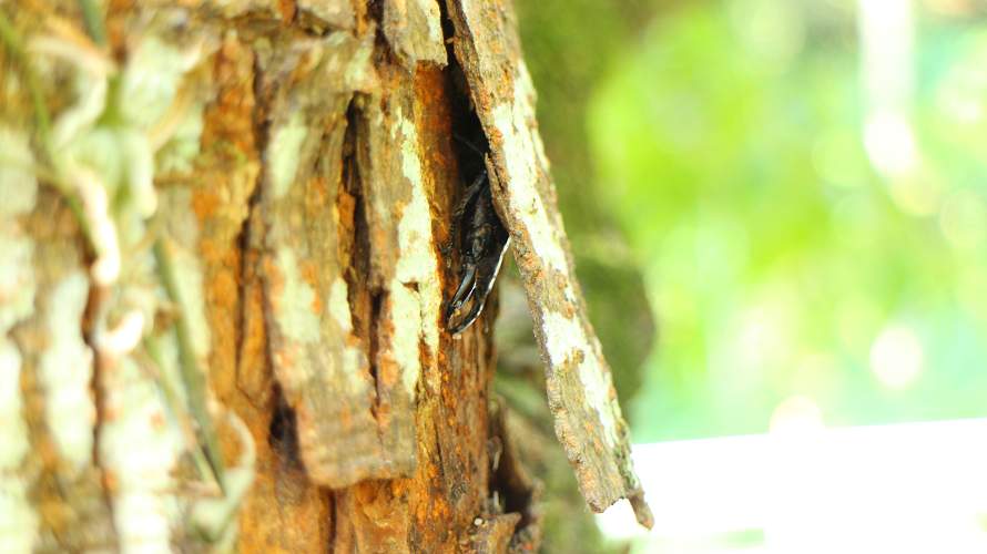 «ö¦¹¦b·sµøµ¡ÂsÄý¹Ï¤ù