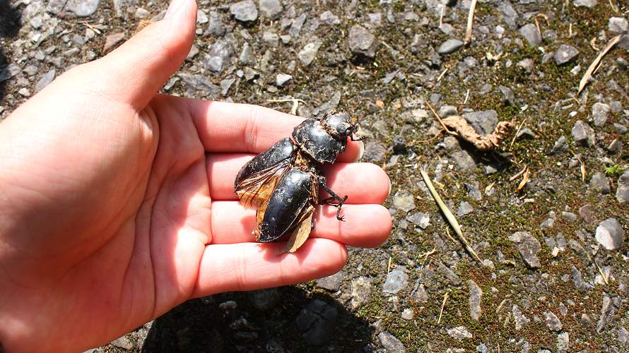 «ö¦¹¦b·sµøµ¡ÂsÄý¹Ï¤ù