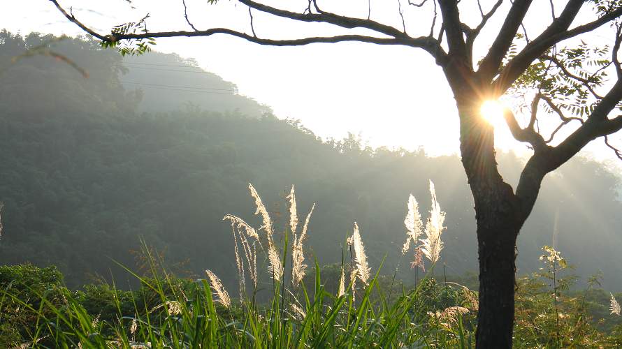 «ö¦¹¦b·sµøµ¡ÂsÄý¹Ï¤ù