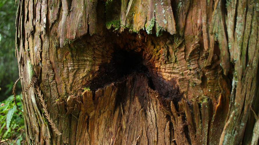 «ö¦¹¦b·sµøµ¡ÂsÄý¹Ï¤ù