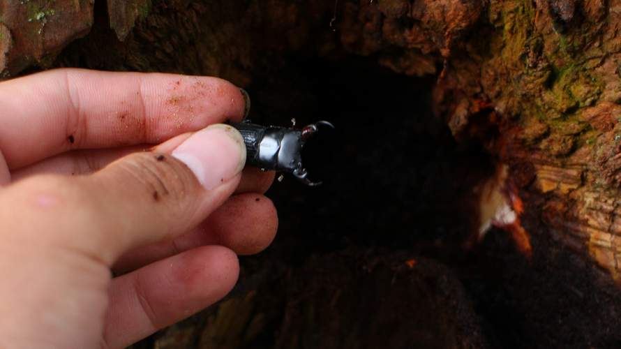 «ö¦¹¦b·sµøµ¡ÂsÄý¹Ï¤ù