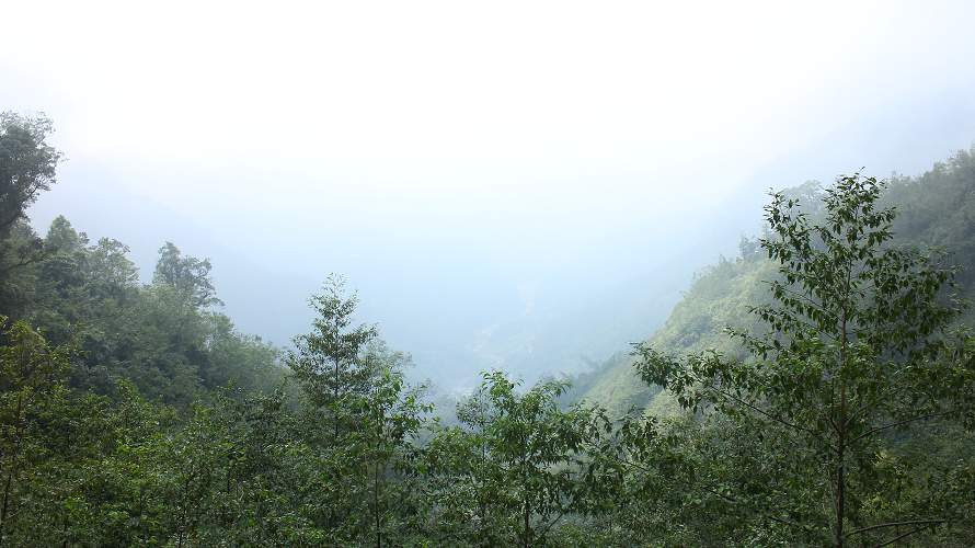 «ö¦¹¦b·sµøµ¡ÂsÄý¹Ï¤ù