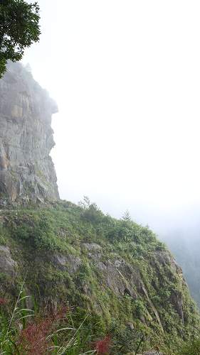 «ö¦¹¦b·sµøµ¡ÂsÄý¹Ï¤ù