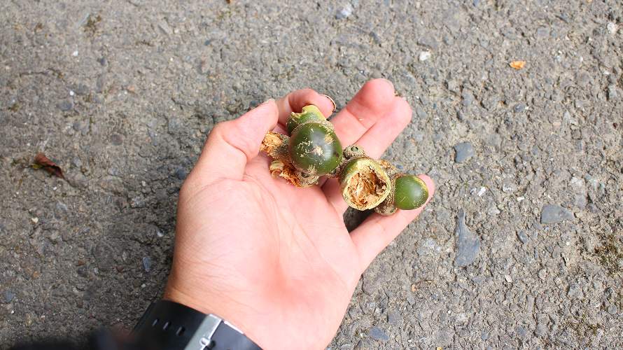 «ö¦¹¦b·sµøµ¡ÂsÄý¹Ï¤ù