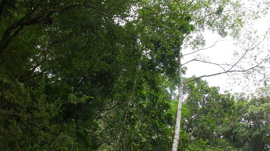 «ö¦¹¦b·sµøµ¡ÂsÄý¹Ï¤ù