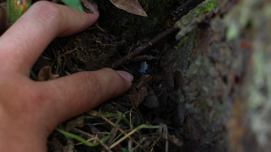 «ö¦¹¦b·sµøµ¡ÂsÄý¹Ï¤ù