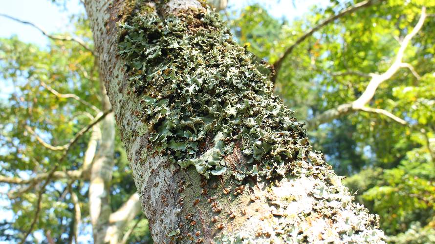 «ö¦¹¦b·sµøµ¡ÂsÄý¹Ï¤ù