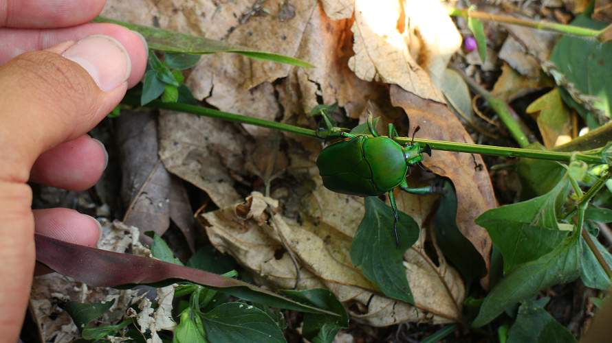 «ö¦¹¦b·sµøµ¡ÂsÄý¹Ï¤ù