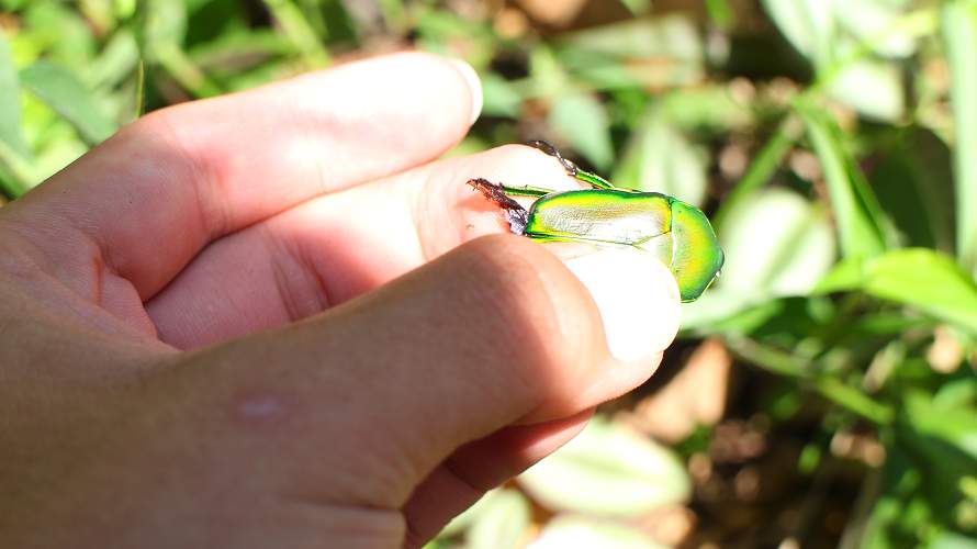 «ö¦¹¦b·sµøµ¡ÂsÄý¹Ï¤ù