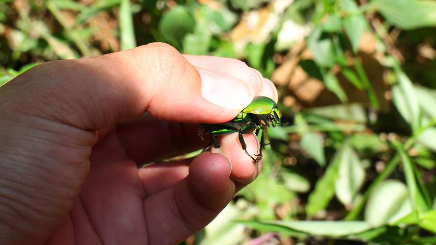 «ö¦¹¦b·sµøµ¡ÂsÄý¹Ï¤ù