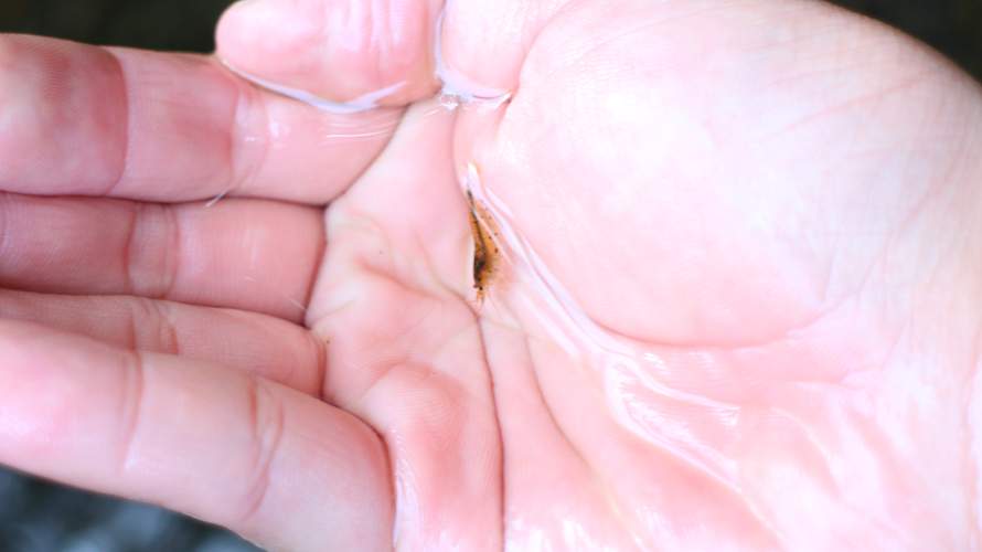 «ö¦¹¦b·sµøµ¡ÂsÄý¹Ï¤ù