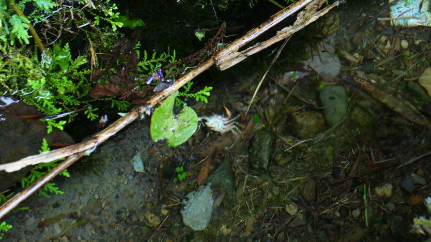 «ö¦¹¦b·sµøµ¡ÂsÄý¹Ï¤ù