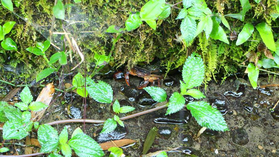 «ö¦¹¦b·sµøµ¡ÂsÄý¹Ï¤ù