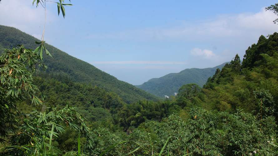 «ö¦¹¦b·sµøµ¡ÂsÄý¹Ï¤ù