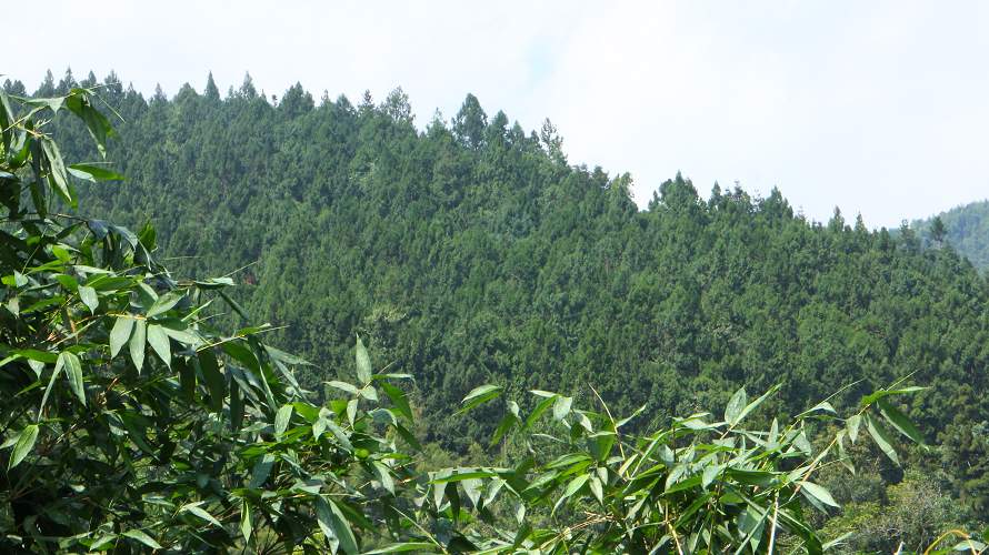 «ö¦¹¦b·sµøµ¡ÂsÄý¹Ï¤ù