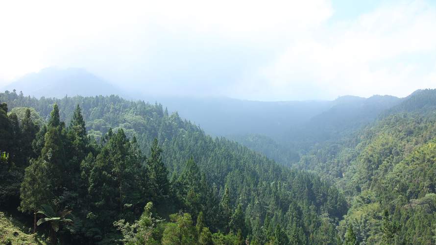 «ö¦¹¦b·sµøµ¡ÂsÄý¹Ï¤ù