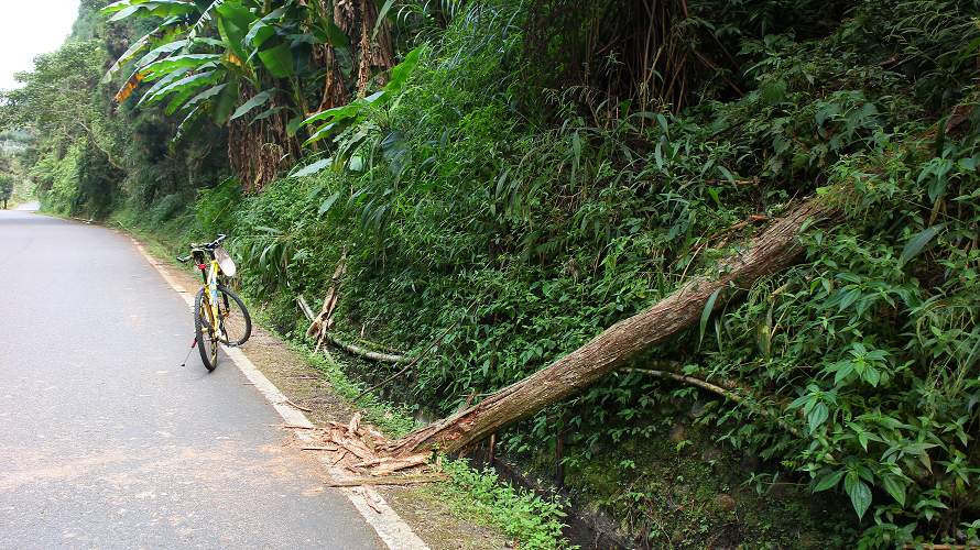 «ö¦¹¦b·sµøµ¡ÂsÄý¹Ï¤ù