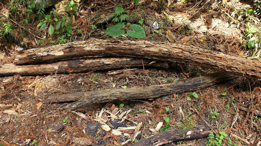 «ö¦¹¦b·sµøµ¡ÂsÄý¹Ï¤ù