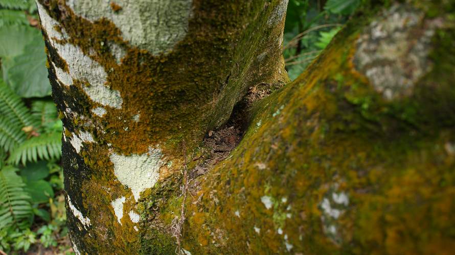 «ö¦¹¦b·sµøµ¡ÂsÄý¹Ï¤ù