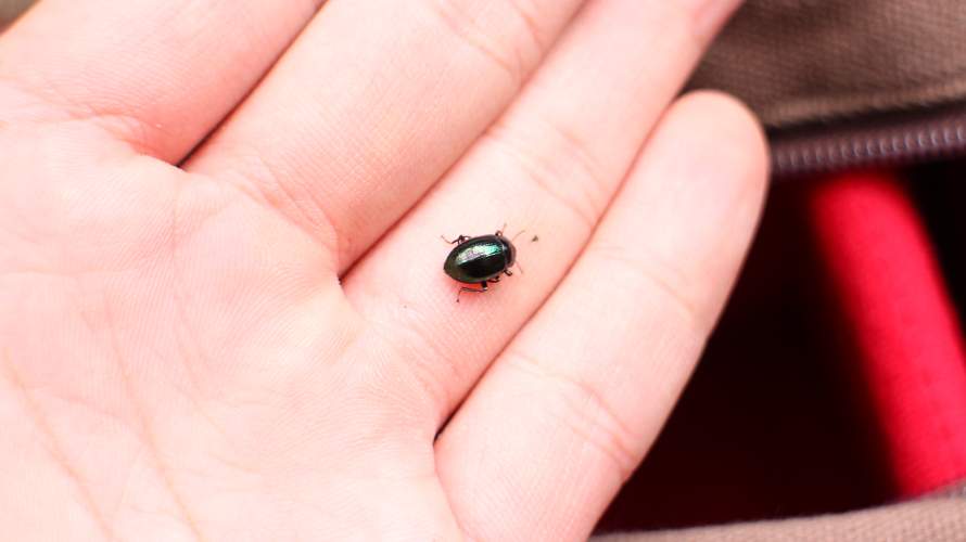 «ö¦¹¦b·sµøµ¡ÂsÄý¹Ï¤ù