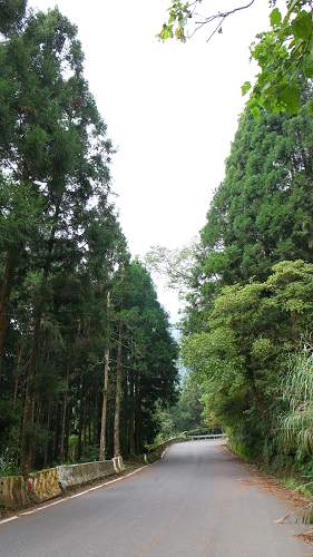 «ö¦¹¦b·sµøµ¡ÂsÄý¹Ï¤ù