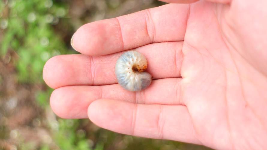 «ö¦¹¦b·sµøµ¡ÂsÄý¹Ï¤ù