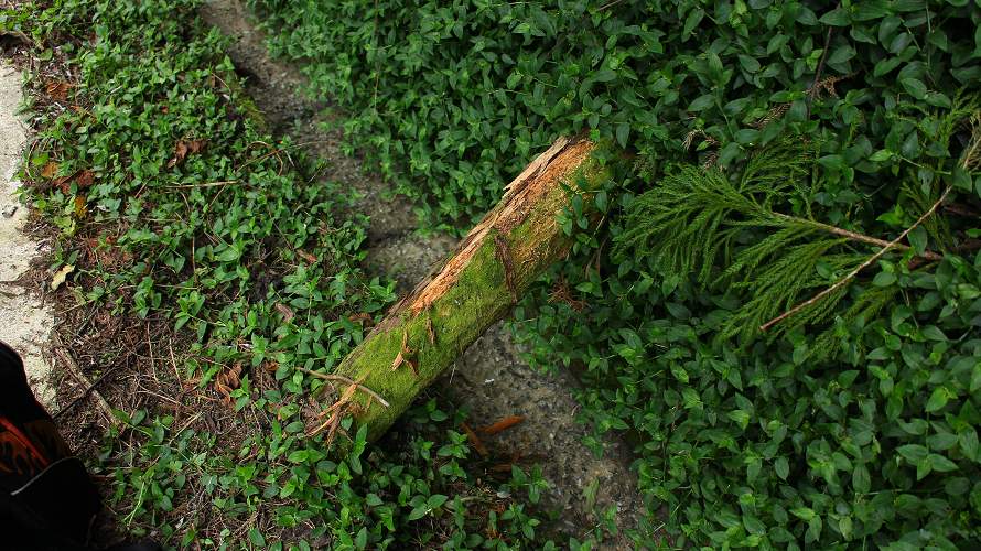 «ö¦¹¦b·sµøµ¡ÂsÄý¹Ï¤ù