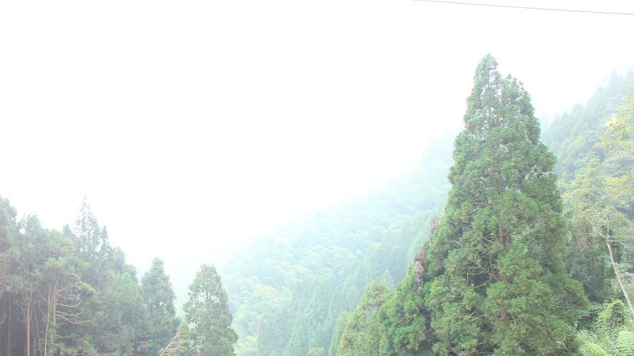 «ö¦¹¦b·sµøµ¡ÂsÄý¹Ï¤ù