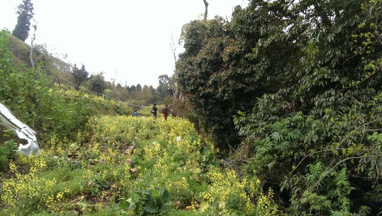 «ö¦¹¦b·sµøµ¡ÂsÄý¹Ï¤ù