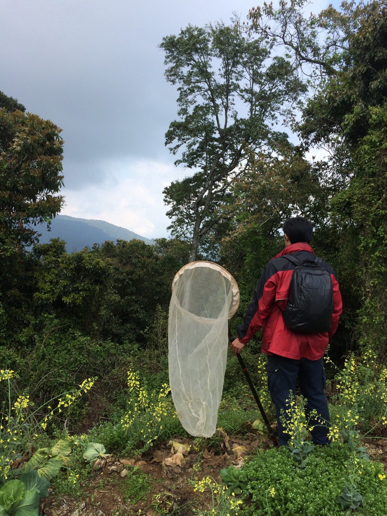 «ö¦¹¦b·sµøµ¡ÂsÄý¹Ï¤ù